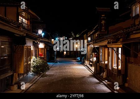 Kyoto Street by Night, Japan © Giorgia de Dato Stockfoto