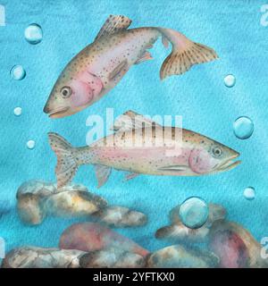 Zwei Regenbogenforellenfische unter Wasser. Flusssteine. Angelclipart. Süßwasserforelle. Handgezeichnete Aquarellillustration. Stockfoto