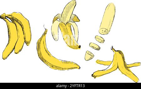 Cartoon-Set mit Bananen-Grafik. Bananenschale, Bananenscheibe und gelbe Früchte von Bananen. Symbole für Vektorabbildungen festgelegt Stock Vektor