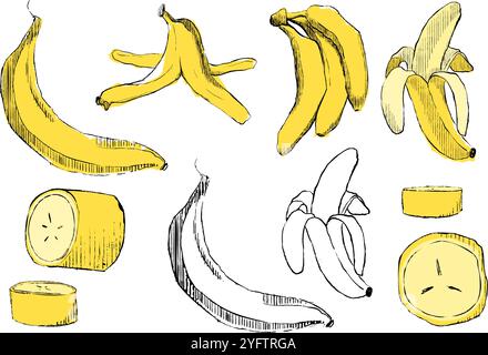 Bananen im Cartoon- und Grafikstil. Bananenschale, Bananenscheibe und gelbe Früchte von Bananen. Tropische Früchte. Vektorillustrationen festgelegt Stock Vektor