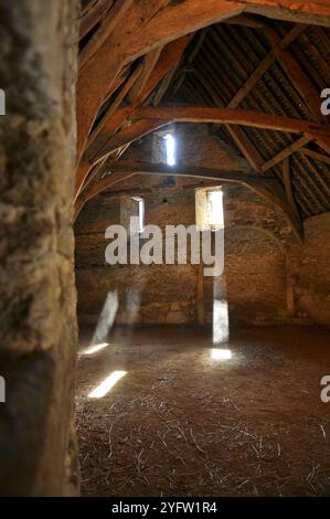 Lacock Tithe Scheune, aus Stein gebaute Scheune aus dem 14. Jahrhundert. Sonnenwellen leuchten durch den Staub vom Strohboden der Scheune. Wiltshi Stockfoto