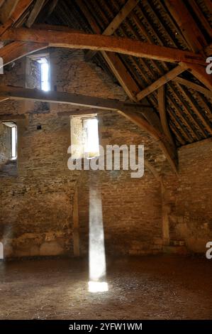 Lacock Tithe Scheune, aus Stein gebaute Scheune aus dem 14. Jahrhundert. Sonnenwellen leuchten durch den Staub vom Strohboden der Scheune. Wiltshi Stockfoto