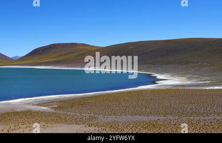 Laguna Miniques unterhalb des Berges Miniques in Chile Stockfoto