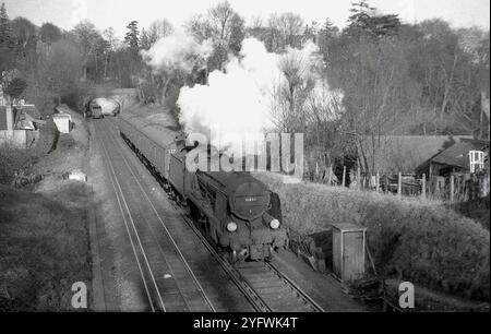 Ende der 1950er Jahre, historische Dampflokomotive, Nr. 31807, River Axe, auf der Schiene, England, Großbritannien. Sie wurde 1926 erbaut und 1928 zu einer U-Klasse-Lokomotive umgebaut und arbeitete bis 1964 an der Südbahn (SR). Stockfoto