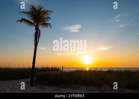 Silhouette von Palm Tree am Strand während der Goldenen Stunde. Stockfoto