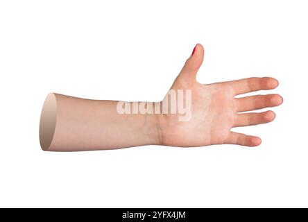 Handgeste halten, Handfläche halten, Finger nach außen Strecken, um etwas zu greifen oder zu halten, Griff. Isoliert auf weißem Hintergrund. Stockfoto