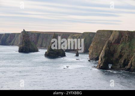 31. Oktober 2024. Duncansby Head, John O'Groats, Schottland. Blick auf die Küstenformationen von Duncansby Stacks in der Nähe von John O'Groats. Stockfoto