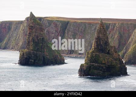 31. Oktober 2024. Duncansby Head, John O'Groats, Schottland. Blick auf die Küstenformationen von Duncansby Stacks in der Nähe von John O'Groats. Stockfoto