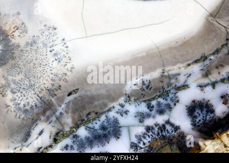 Polierte Mineralprobe. Feuerstein in einem Moosachatrand, natürliches Hintergrundfoto von Halbedelstein aus Siliziumdioxid Stockfoto