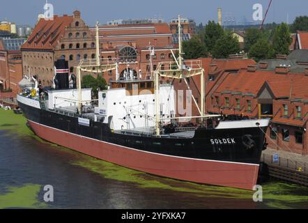 Symbolbild Museumsschiff Soldek im Hafen, erste polnische Seeschiff nach dem Zweiten Weltkrieg, liegt vor historischem Backsteingebaeuden, roter Dachziegel und Industriearchitektur im Hintergrund, gruene Algen auf Wasseroberflaeche, maritime Sehenswuerdigkeit in Danzig, Symbol für Polens Schiffbaugeschichte, Touristenattraktion, restauriertes Dampfschiff *** Symbolbild Museumsschiff Soldek im Hafen, erstes polnisches Seesschiff nach dem Zweiten Weltkrieg auf der Industriebau Stockfoto