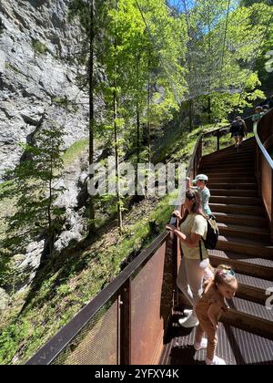 Eine Familie genießt eine Wanderung auf einem Metallsteg in einem üppigen, grünen Wald in der Liechtensteinklamm, Österreich. Sonnenlicht zieht durch die Bäume und schafft eine Ruhe Stockfoto