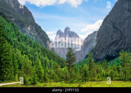 Drei Zinnen oder drei Zinnen Panoramablick vom Val di Landro oder Hohlensteintal. Dolomiten, italienische Alpen, Südtirol und Venetien regi Stockfoto