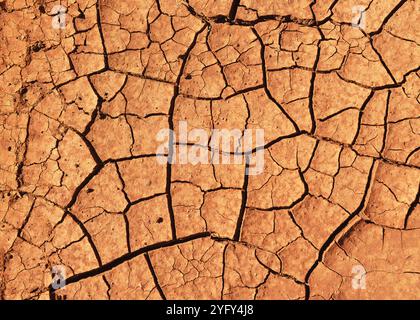 Textur der getrockneten Erde mit rotem Ton und Sand. Wandern durch Fuerteventura. Kanarische Inseln, Spanien. Stockfoto