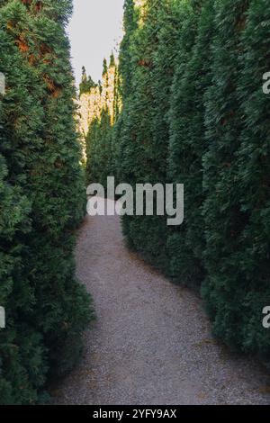 Maze Path Trees Garden – Ein Kiesweg schlängelt sich durch hohe, grüne Hecken in einem Labyrinth, der zu einem Schloss in der Ferne führt. Stockfoto