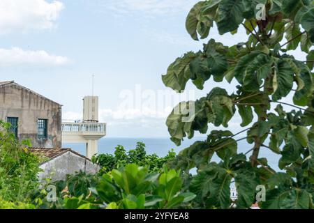 Blick von der Spitze des Lacerda Elevators im Geschäftsviertel der Stadt Salvador, Bahi Stockfoto