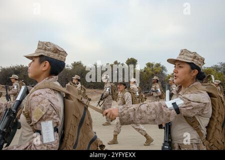 Ein Bohrlehrer des U.S. Marine Corps bei Fox Company, 2nd Recruit Training Battalion, vermittelt Rekruten Wissen während einer zwei Kilometer langen Einführungswanderung im Marine Corps Recruit Depot San Diego, Kalifornien, 10. Oktober 2024. Während des Trainings führen Rekruten eine Reihe von progressiv längeren Wanderungen durch, um sie körperlich und geistig zu konditionieren, um Kampfbereitschaft für alle notwendigen zukünftigen Operationen zu schaffen. (Foto des U.S. Marine Corps von CPL. Sarah M. Grawcock) Stockfoto