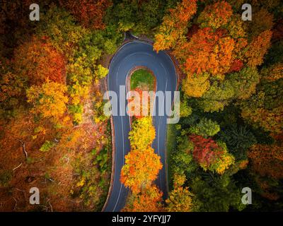 Eine malerische, kurvenreiche Straße schlängelt sich durch eine atemberaubende Herbstlandschaft. Die leuchtend orangefarbenen, roten und gelben Blätter bilden einen atemberaubenden Kontrast zum dunklen Bürgersteig. Stockfoto