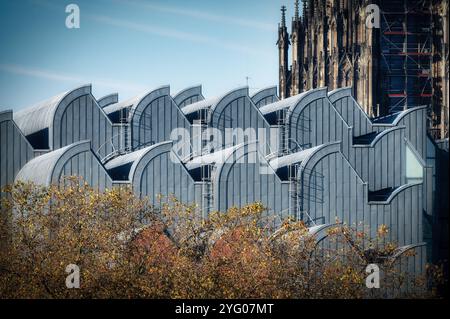 Die eleganten Wellen des Museums ludwig im Schatten des kölner Doms Stockfoto