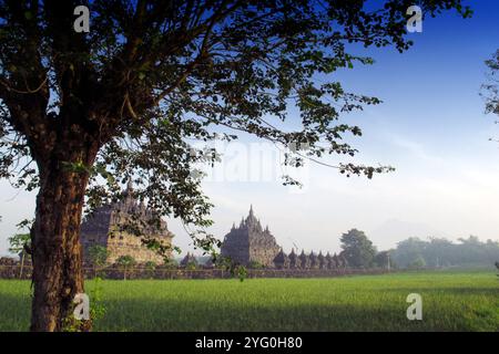 Tempel, buddhistische Tempel Plaosan erbte von alten Königreiche in KLATEN - Indonesien Stockfoto