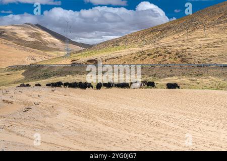 Sanddünen rund um den See Manasarovar ist ein großer Süßwassersee, der von den Kailash Gletschern in der Nähe des Kailash in Tibet gespeist wird Stockfoto