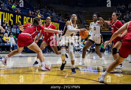 4. November 2024 Berkeley CA U.S.A. die kalifornische Garde Kayla Williams (4) fährt während des NCAA/ACC Women's Basketball Spiels zwischen Saint Mary's Gaels und California Golden Bears zum Basketball. Kalifornien besiegt Saint Mary's 90-58 im Haas Pavilion Berkeley Kalifornien Thurman James/CSM Stockfoto