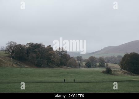 Zwei Menschen laufen auf einem Fußweg durch ein grünes Feld in der Bolton Abbey nahe Skipton im Yorkshire Dales National Park an einem bewölkten Herbsttag. Stockfoto