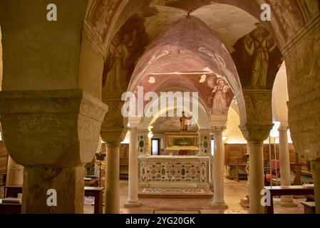 Krypta der Kathedrale von Treviso in Italien mit einem Wald aus Marmorsäulen und eleganten Gewölbedecken. In der Krypta befinden sich die Reliquien des Heiligen Biagio, Stockfoto