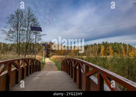 Landschaft am Stausee in Blachownia, ein Spaziergang um den See im Herbst Stockfoto