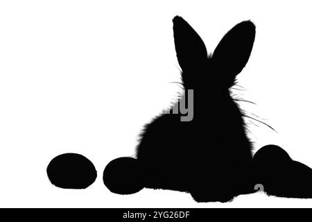 Hasen Silhouette Set. Bunny-Symbole. Haare-Silhouette. Symbol für landwirtschaftliche Tiere Stockfoto