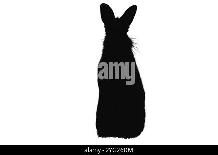 Hasen Silhouette Set. Bunny-Symbole. Haare-Silhouette. Symbol für landwirtschaftliche Tiere Stockfoto