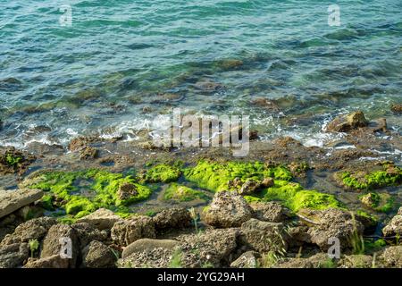 Moosbedeckte Felsen an der Küste in Side, Türkei Stockfoto