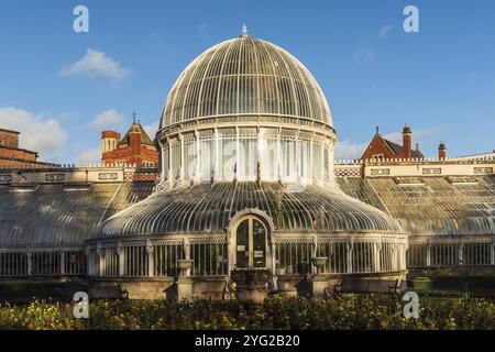 NORDIRLAND, BELFAST, BOTANISCHE GÄRTEN, DAS PALMENHAUS Stockfoto