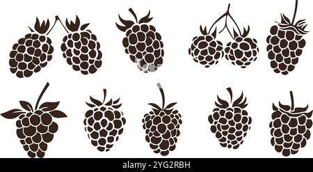 Himbeeren Isoliert Weiß Hintergrund Set Stock Vektor