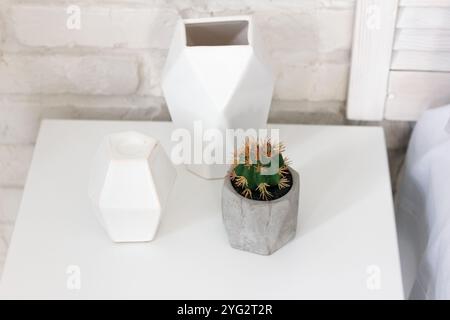 Zimmerpflanze aus der Kaktusfamilie, in einer grauen Vase gepflanzt, liegt auf einem Nachttisch neben einem Kerzenhalter und einer Vase. Diese Elemente lassen sich gut mit in kombinieren Stockfoto