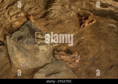 FRANKREICH. ARDECHE (07) - VALLON PONT D'ARC - EXKLUSIVER BESUCH DER REICH VERZIERTEN HÖHLE PONT D'ARC, BEKANNT ALS CHAUVET-HÖHLE: AM ENDE DES HILLAIRE-ZIMMERS, Stockfoto