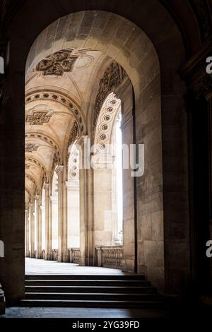 Koridore des Louvre-Museums in Paris - Alley 2 Stockfoto