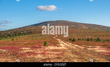 Eine gewundene, unbefestigte Straße zieht sich durch eine lebhafte Herbstlandschaft und führt das Auge zu einem fernen Berggipfel unter einem ruhigen blauen Himmel, der von einer einsamen Wolke gesäumt ist Stockfoto