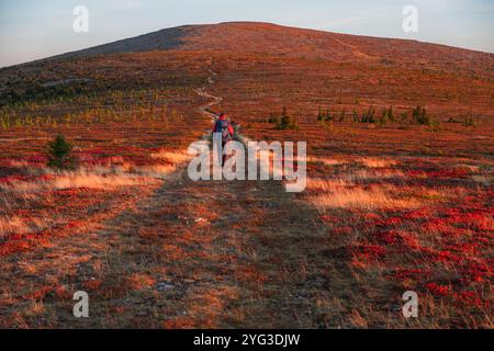 Wanderer mit Rucksack spaziert durch eine farbenfrohe Herbstlandschaft zu einem Berg bei Sonnenuntergang, umgeben von Rot- und Orangetönen. Trekkingstöcke ergänzen das Abenteuer in dieser ruhigen Umgebung Stockfoto