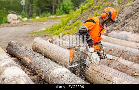 Holzfäller-Arbeiter in Schutzausrüstung Schneiden von Brennholzbäumen im Wald mit der Motorsäge. Männlicher Baumchirurg, der Baumstamm mit der Motorsäge sägt Stockfoto