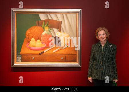 Königin Sofia von Spanien, Teilnahme am Sophia Award for Excellence 2024 und 70. Jahrestag des Queen Sofia Spanish Institute, New York, USA. November 2024. Quelle: CORDON PRESS/Alamy Live News Stockfoto