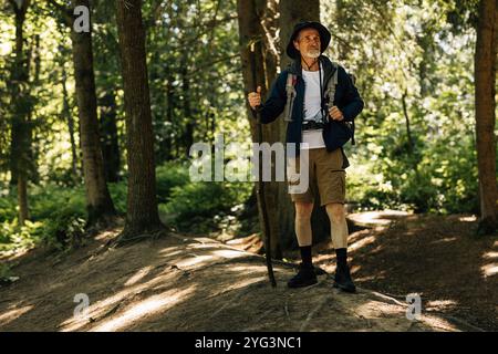 Die ganze Länge eines Mannes in Wanderkleidung, der in einem Wald mit einem Holzstock steht und wegblickt Stockfoto