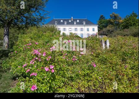 Das Herrenhaus der Domaine de Charance, Sitz des botanischen Wintergartens und Hauptquartier des Nationalparks Ecrins Stockfoto