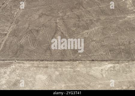 Aerial, der Reiher, Nazca Geoglyphen, Nazca Linien, Nazca, Peru, Südamerika Stockfoto