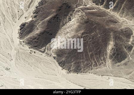 Aerial, der Riese, Nazca Geoglyphen, Nazca Linien, Nazca, Peru6 Stockfoto