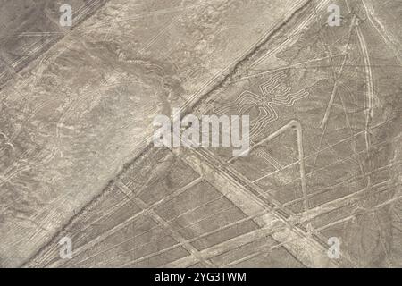 Aerial, The Spider, Nazca Geoglyphen, Nazca Lines, Nazca, Peru, Südamerika Stockfoto