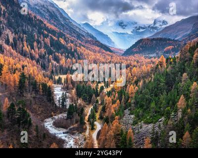 Luftaufnahme der Herbstfarben im Val Roseg mit türkisfarbenem Fluss Schweizer Alpen, Pontresina, Kanton Graubünden, Oberengadin, Schweiz Stockfoto