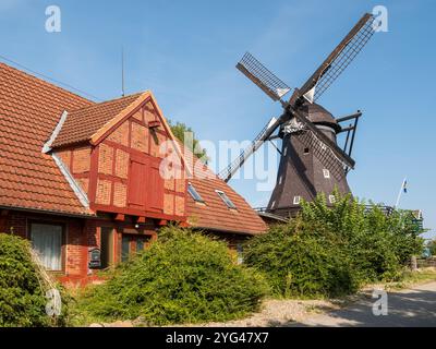 Windmühle Jachen Flünk und Bauernhof, Mühle und Landwirtschaftsmuseum in Lemkenhafen auf der Insel Fehmarn, Ostholstein Stockfoto