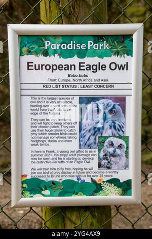 Cornwall, Vereinigtes Königreich – 19. Juni 2024: Informationsschild der European Eagle Owl im Paradise Park, Hayle Stockfoto