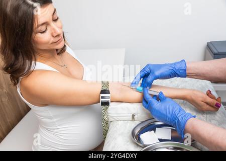 Medizinisches Fachpersonal mit Handschuhen, die bereit sind, während der Venenpunktion eine Blutprobe aus der Armvene einer schwangeren Frau mit einem Vacutainer zu entnehmen Stockfoto