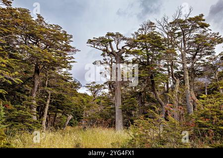 Die Landschaft in Ushuaia in Argentinien Stockfoto